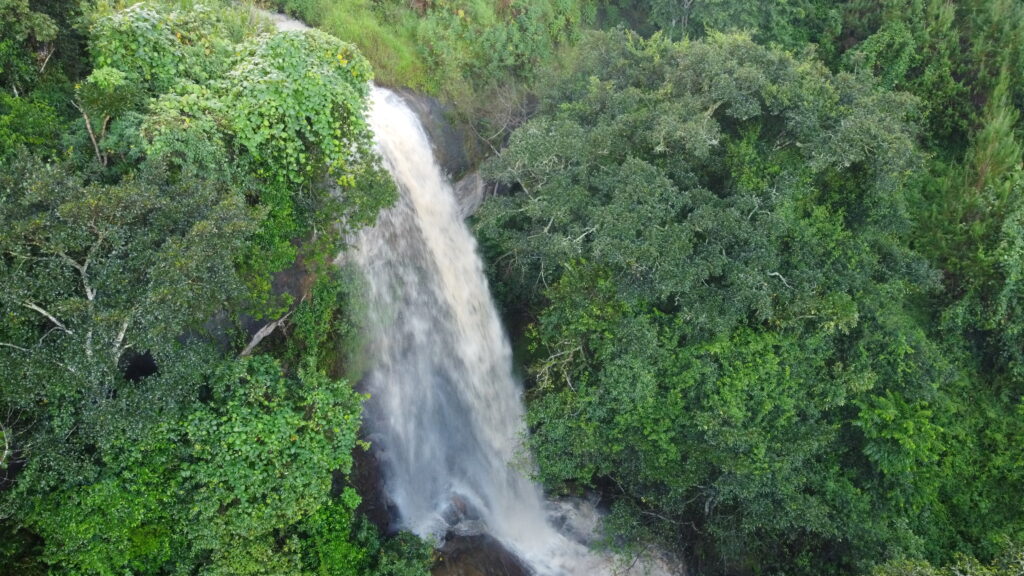 A breathtaking waterfall cascades through the serene valleys of the Eastern Arc Mountains, a stunning testament to the region's natural beauty.