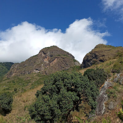 International Mountain Day: Restoring Mountain Ecosystems!