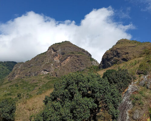 International Mountain Day: Restoring Mountain Ecosystems!