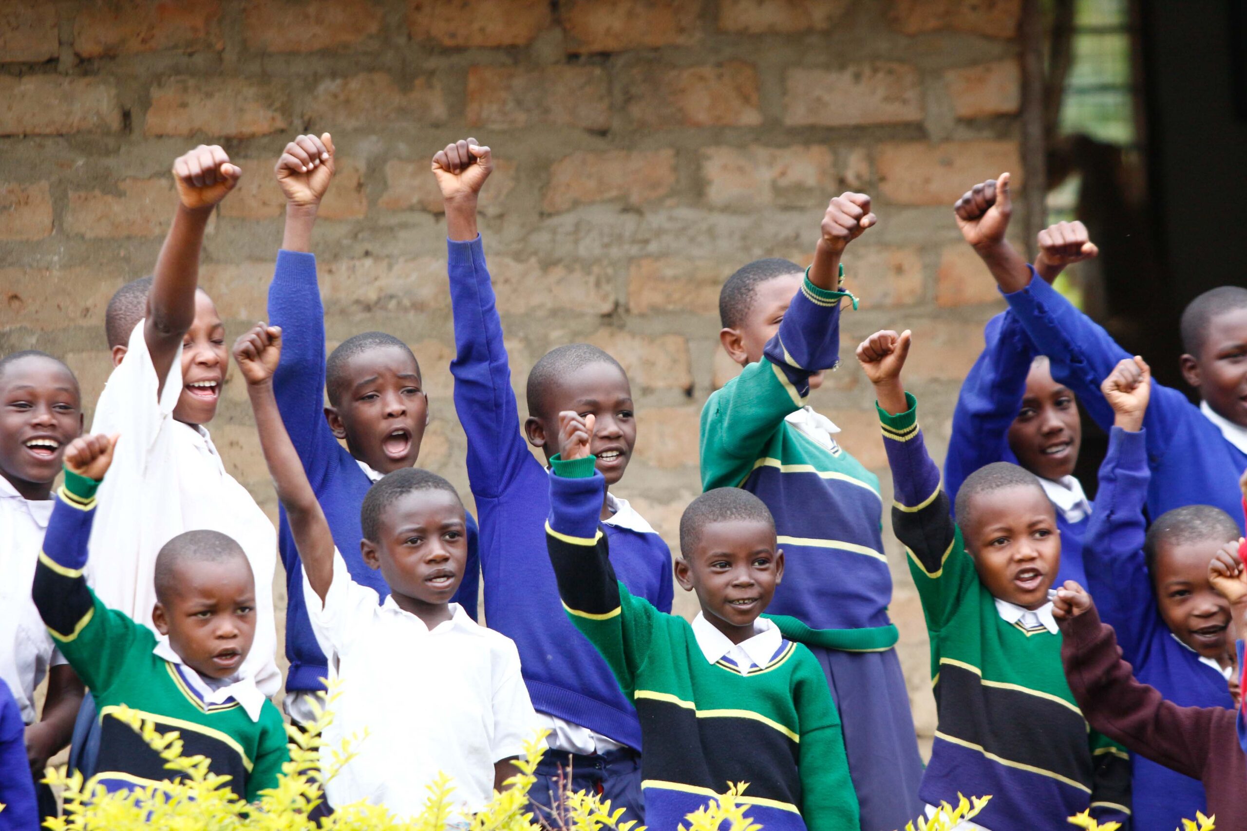 Tree-Planting at Pinde School Transforms Soil, Harvests, and Community Life