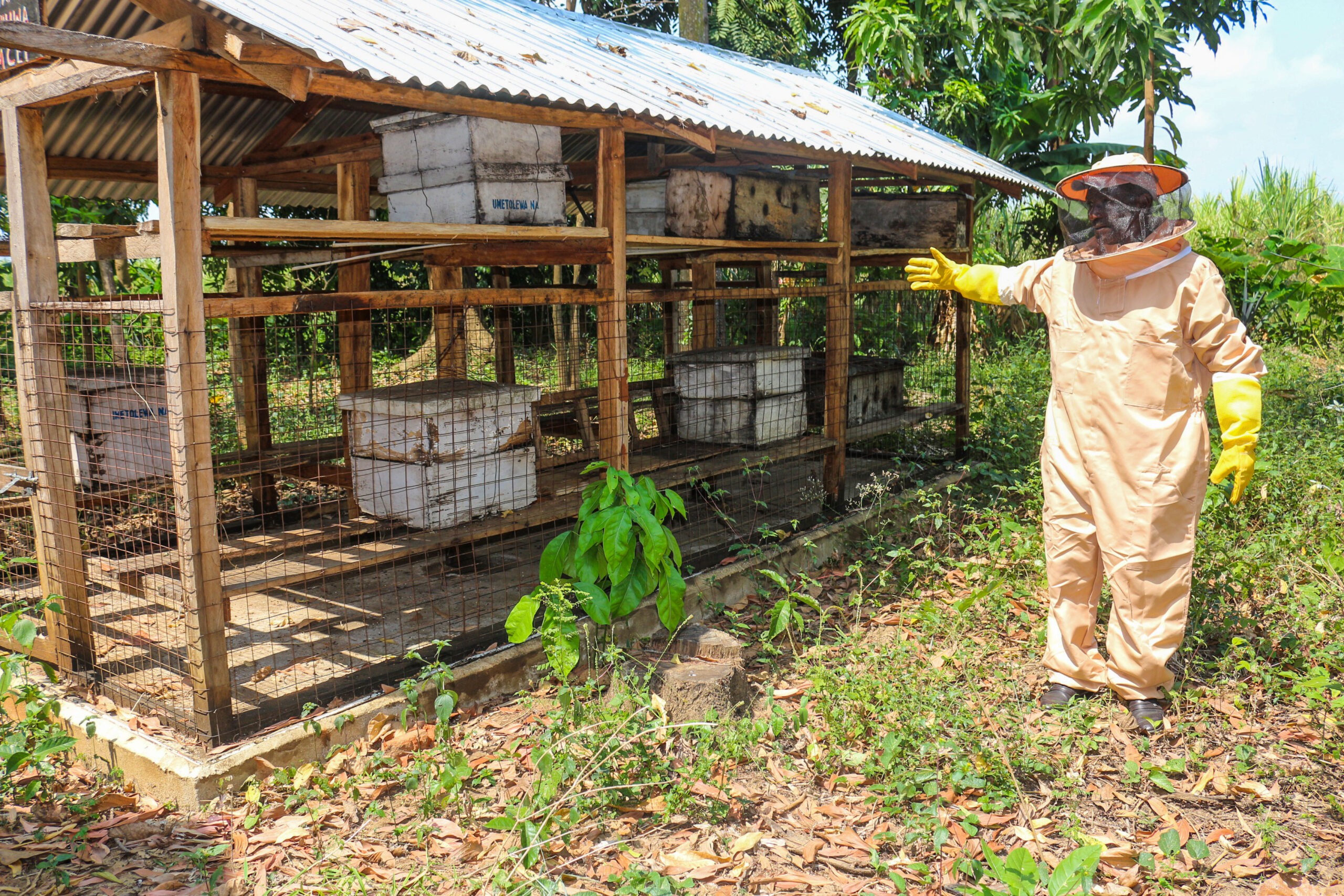 Beekeeping Project Transforms Communities and Boosts Income