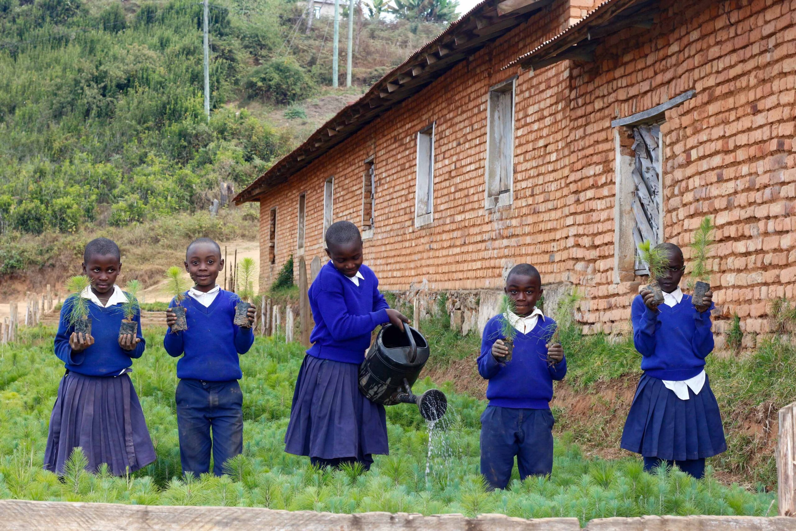 Environmental Education Initiative Transforms Masisiwe Primary School and Local Community