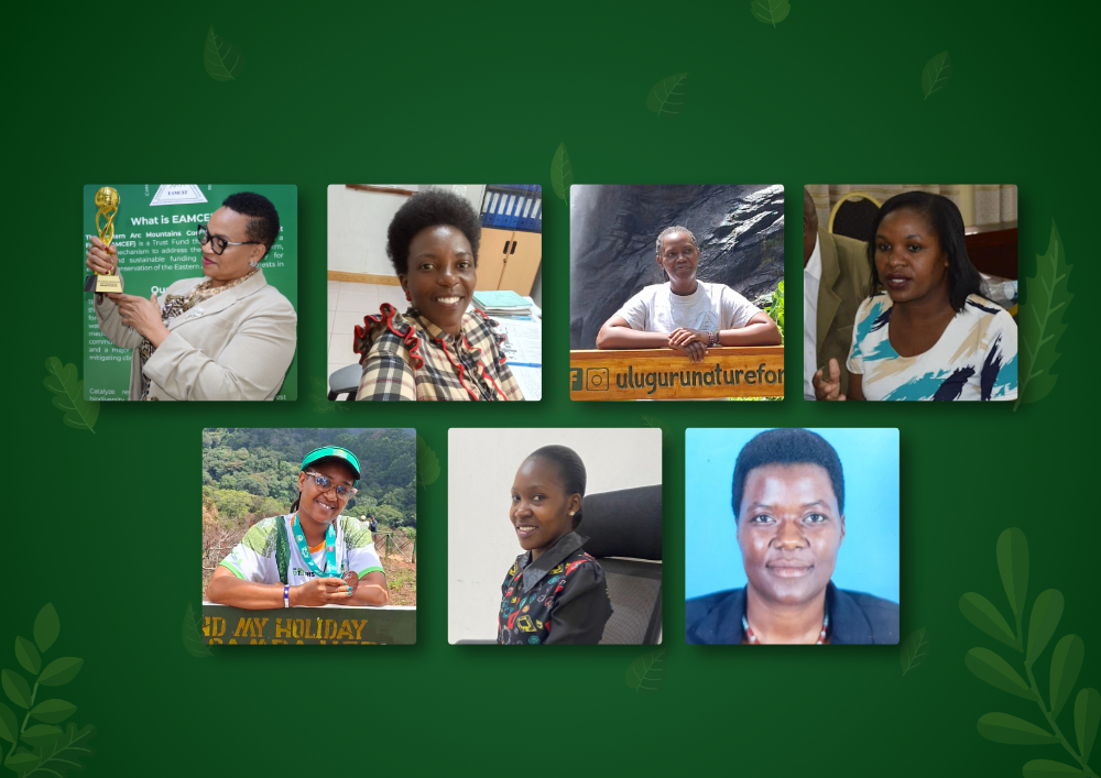 Shaping a Sustainable Future: Celebrating the Women of the Eastern Arc Mountains