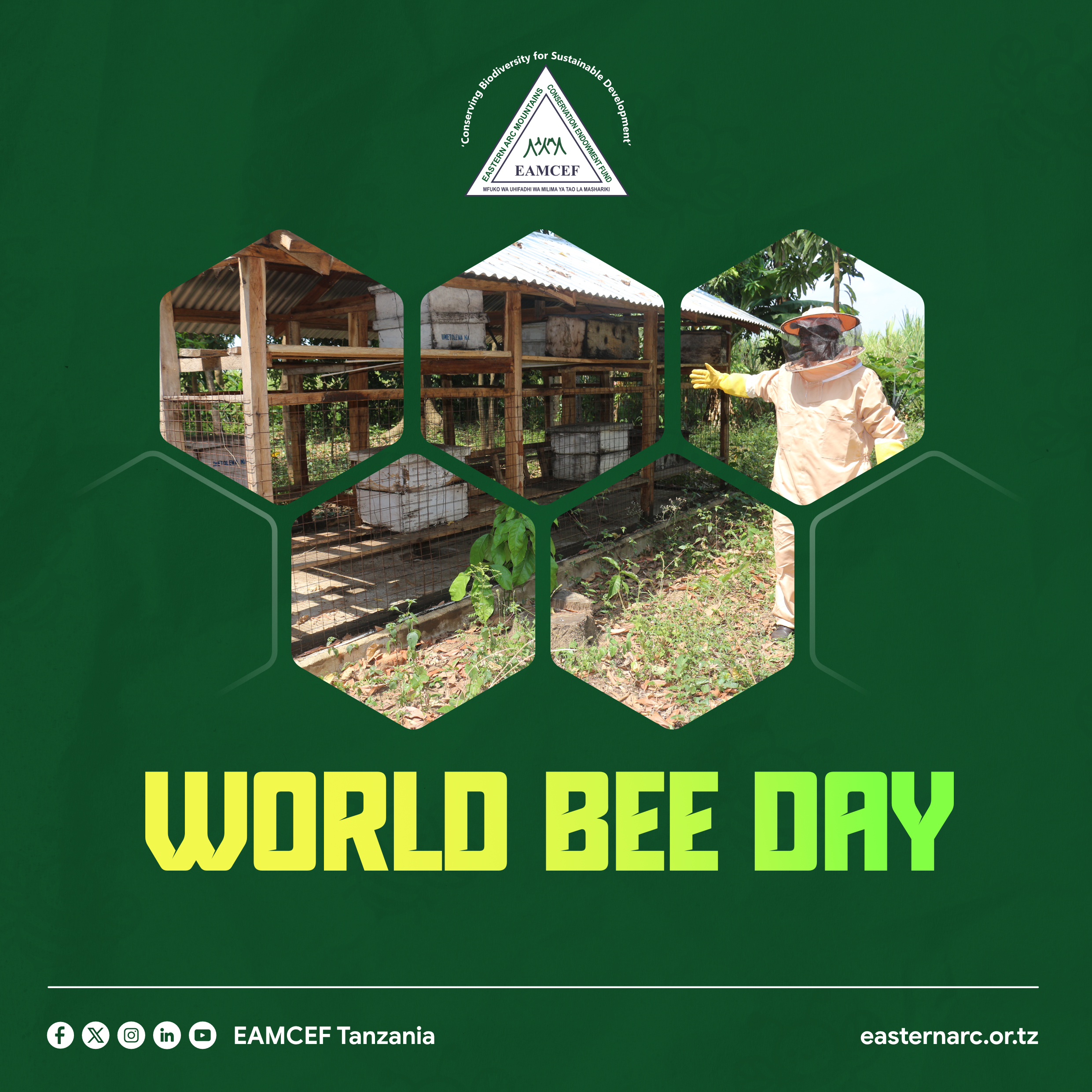 World Bee Day