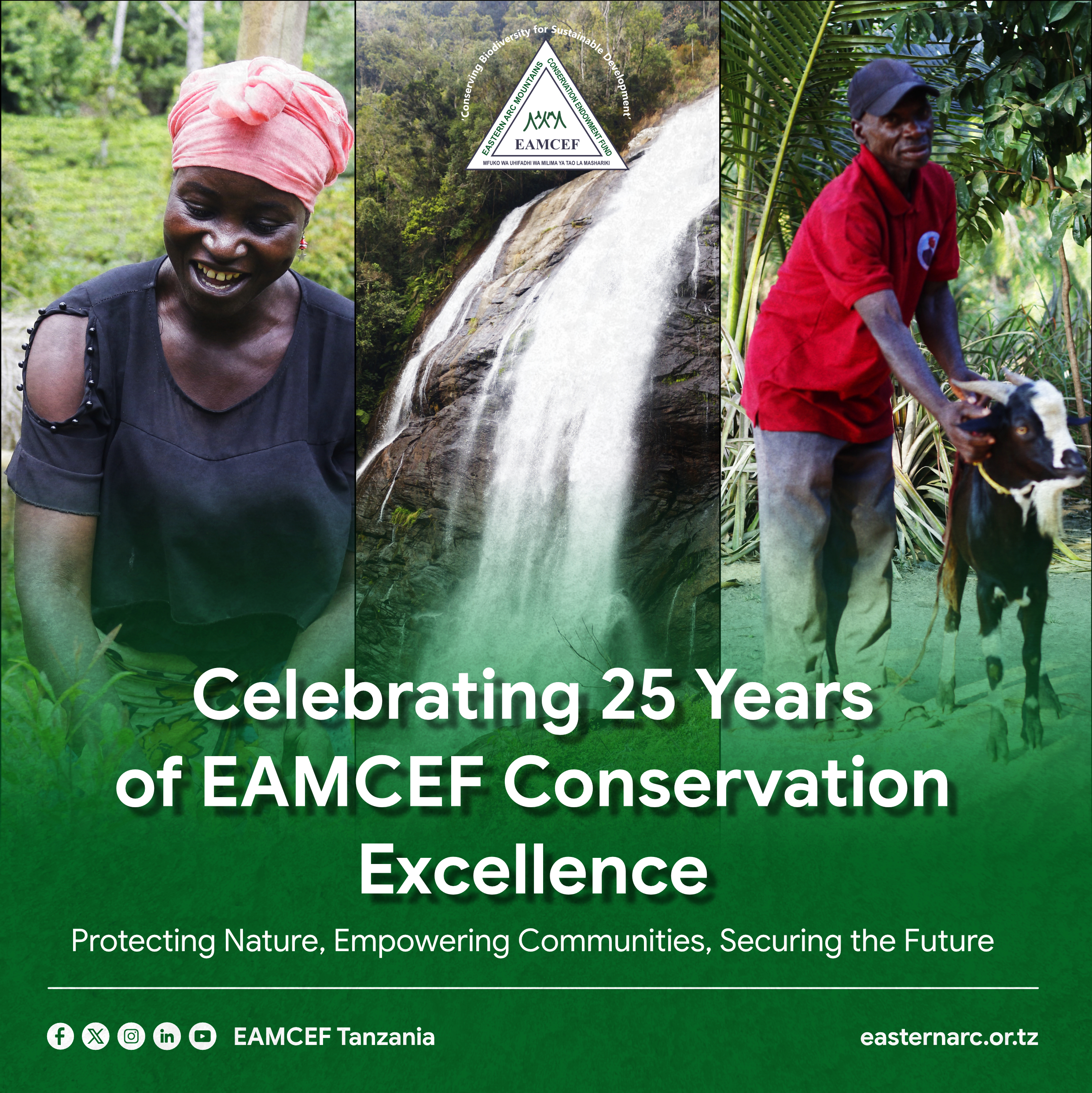 Celebrating 25 Years of EAMCEF Conservation Excellence